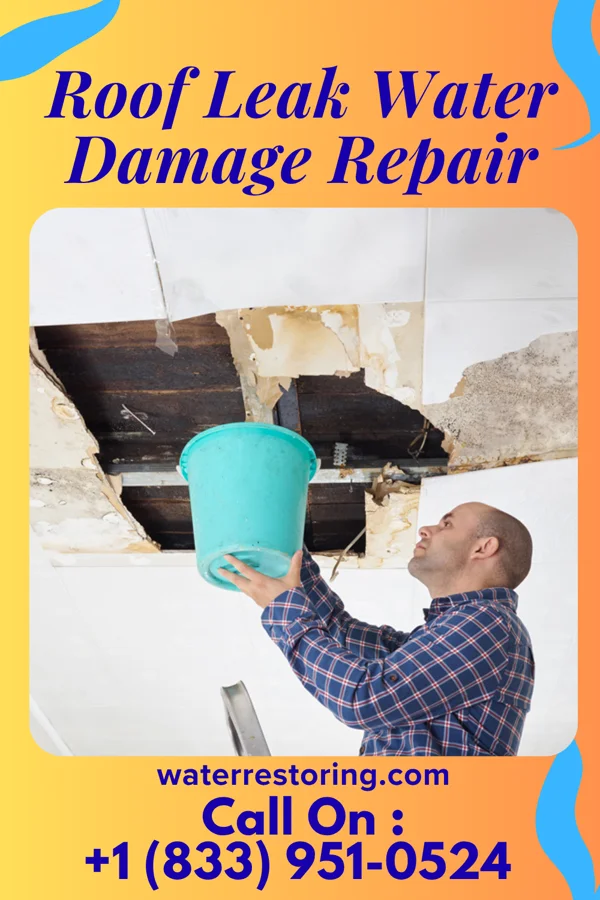 Roof Leak Water Damage Repair in Turtle Lake, ND